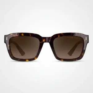 Two-Tone Sunglass
